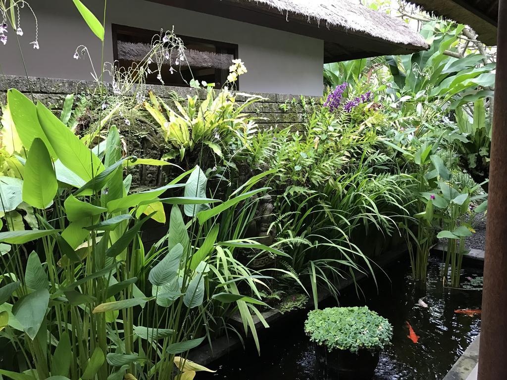 Bali Villa Aja Seminyak  Exterior photo